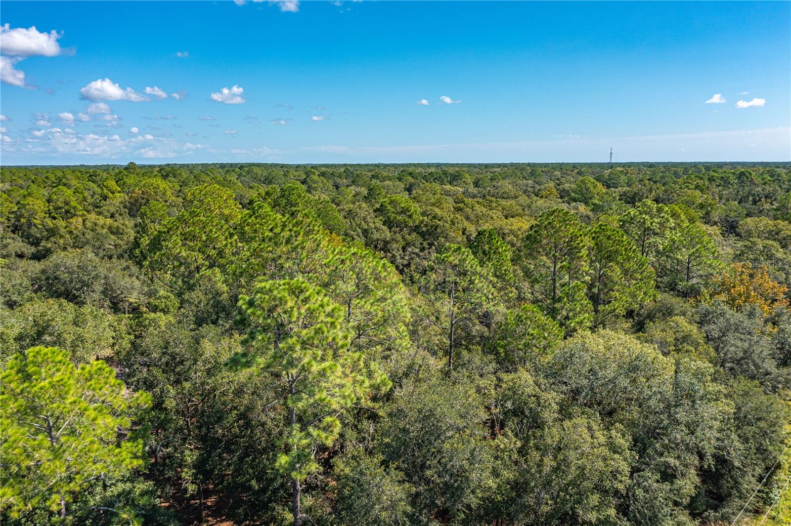 4930 JOSEPH ST, HASTINGS, FL, 32145
