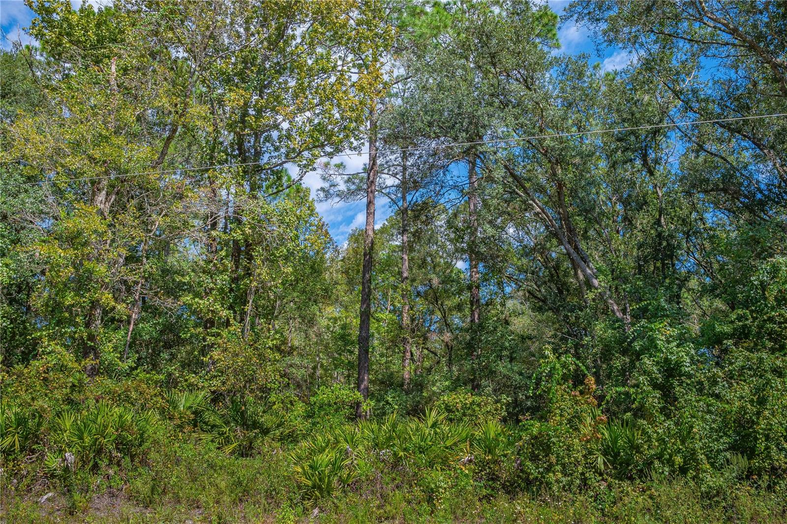 4930 JOSEPH ST, HASTINGS, FL, 32145