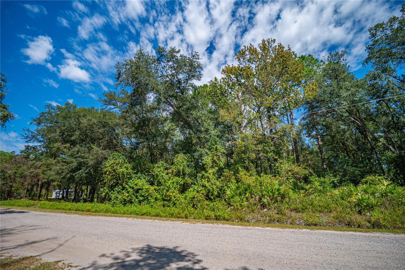 4930 JOSEPH ST, HASTINGS, FL, 32145