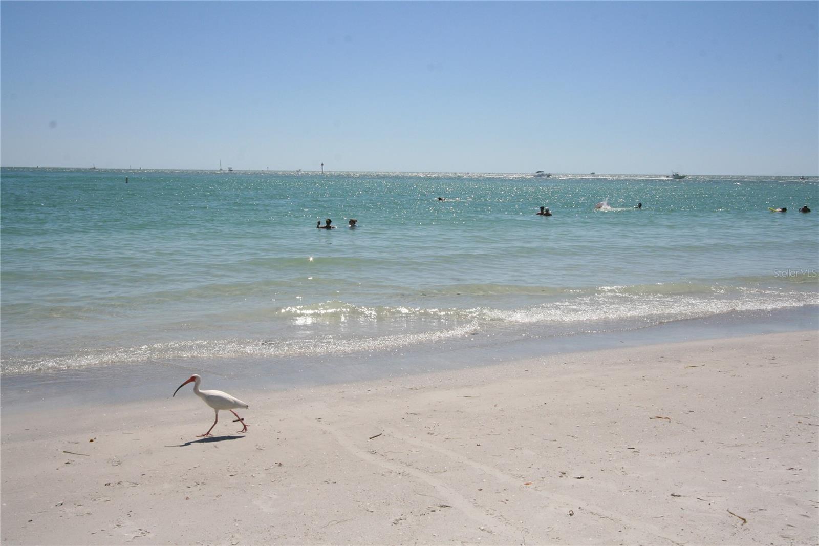 1827 DOUGLAS AVE, CLEARWATER, FL, 33755