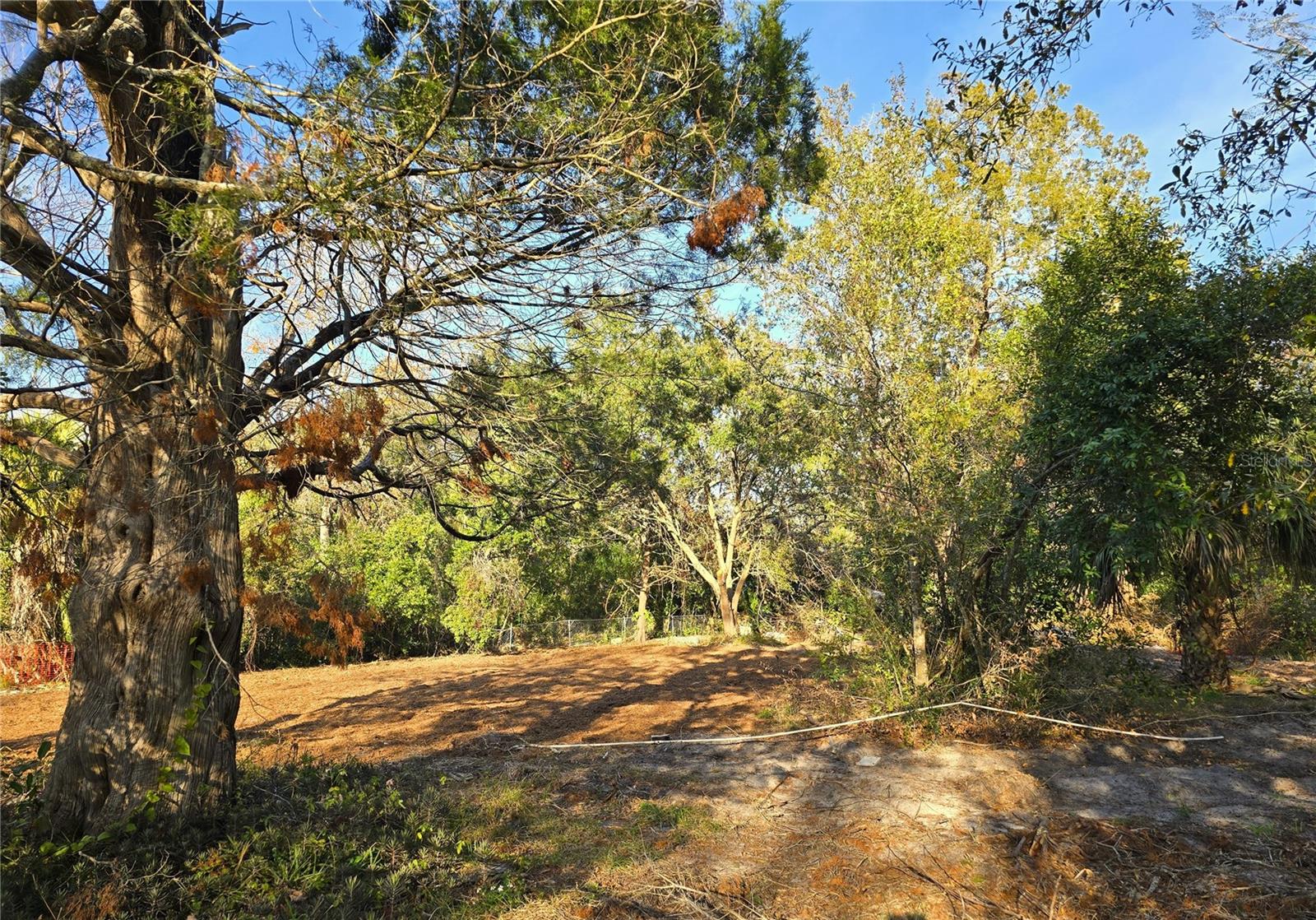 1827 DOUGLAS AVE, CLEARWATER, FL, 33755