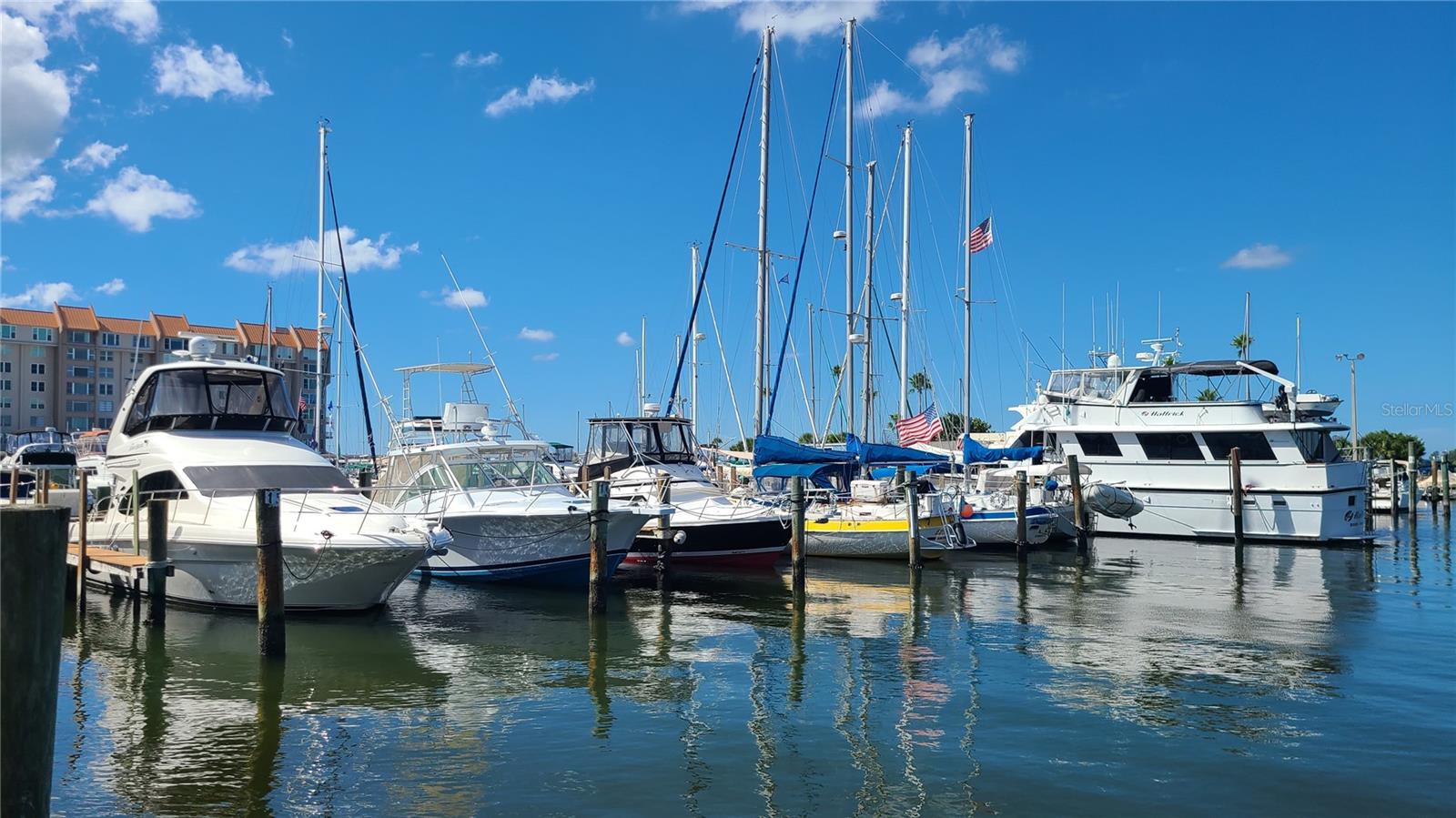1825 DOUGLAS AVE, CLEARWATER, FL, 33755