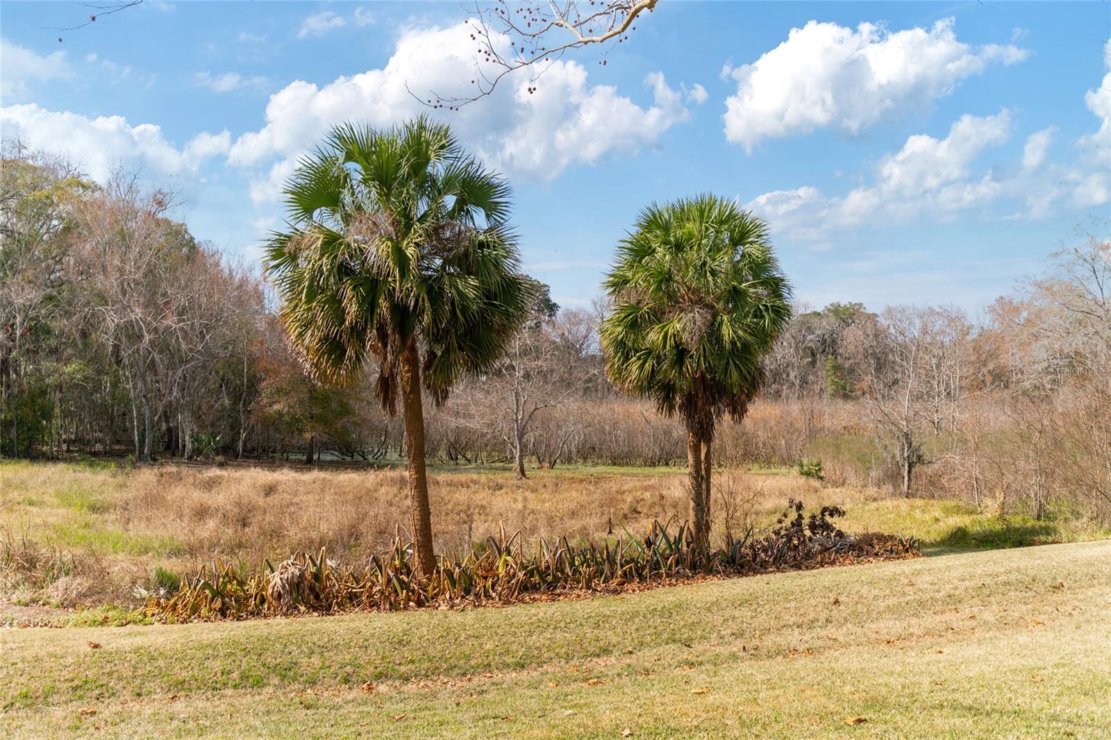 7727 SW 102ND LOOP, OCALA, FL, 34476
