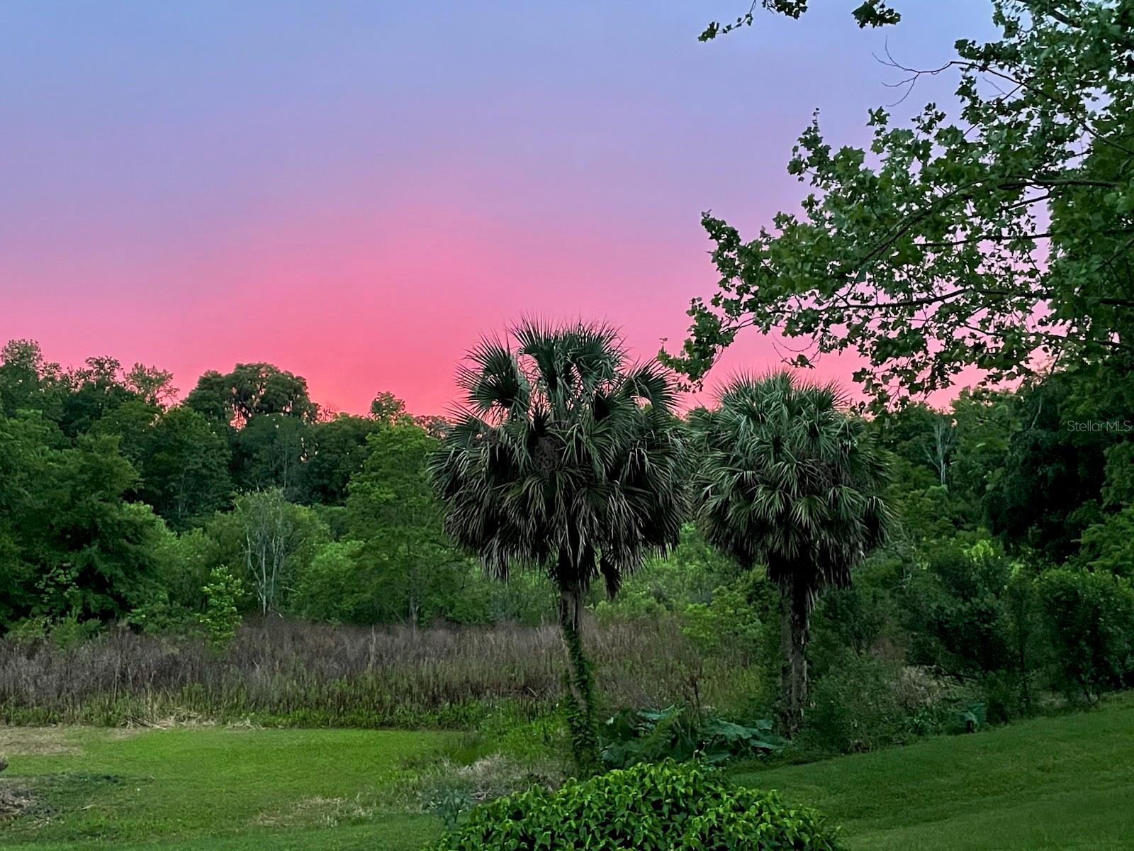 7727 SW 102ND LOOP, OCALA, FL, 34476