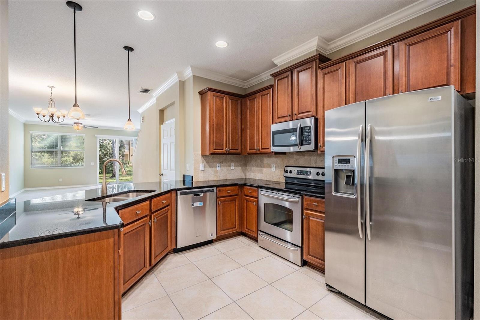 12537 SILVERDALE ST, TAMPA, FL, 33626