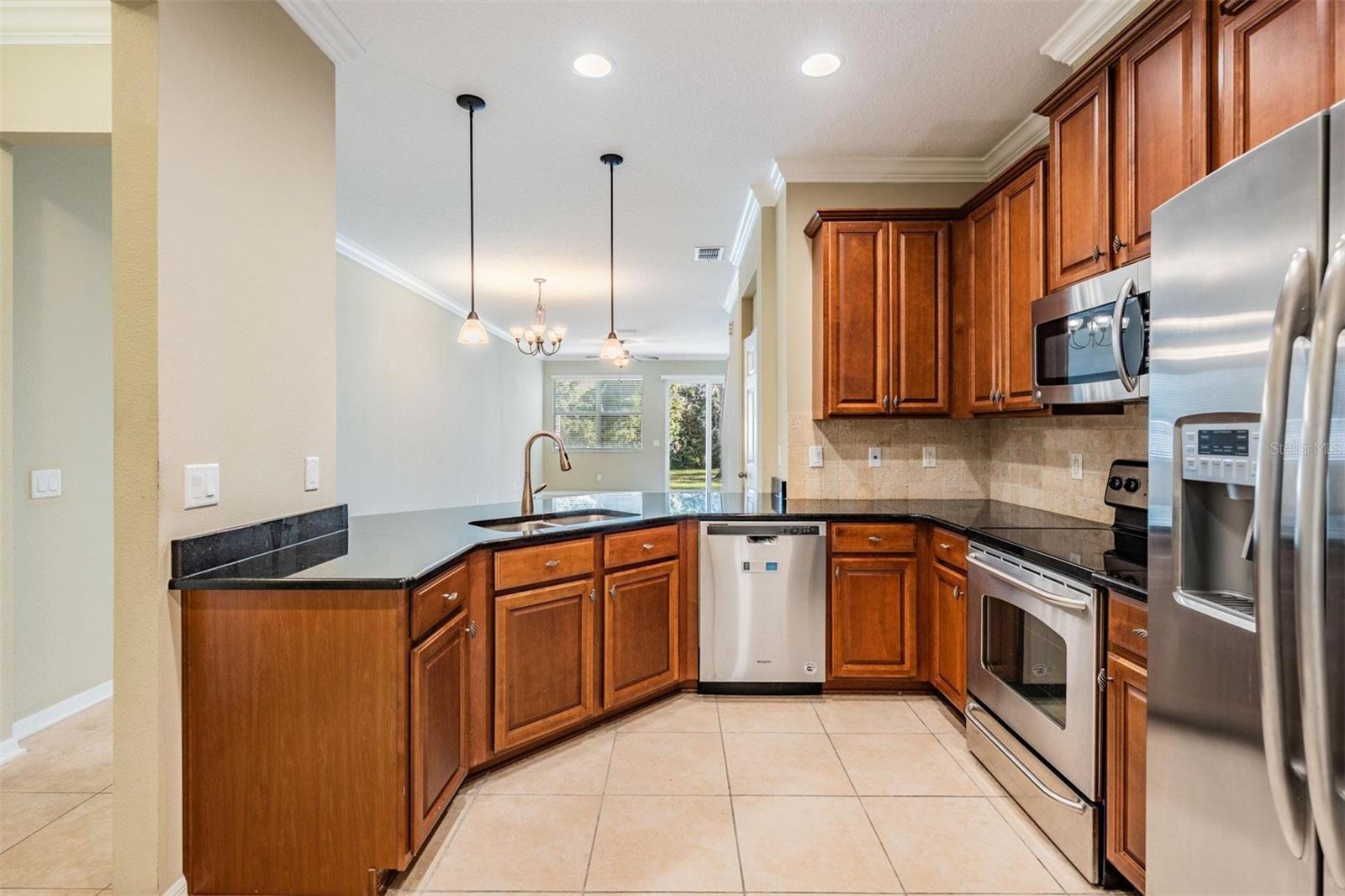 12537 SILVERDALE ST, TAMPA, FL, 33626