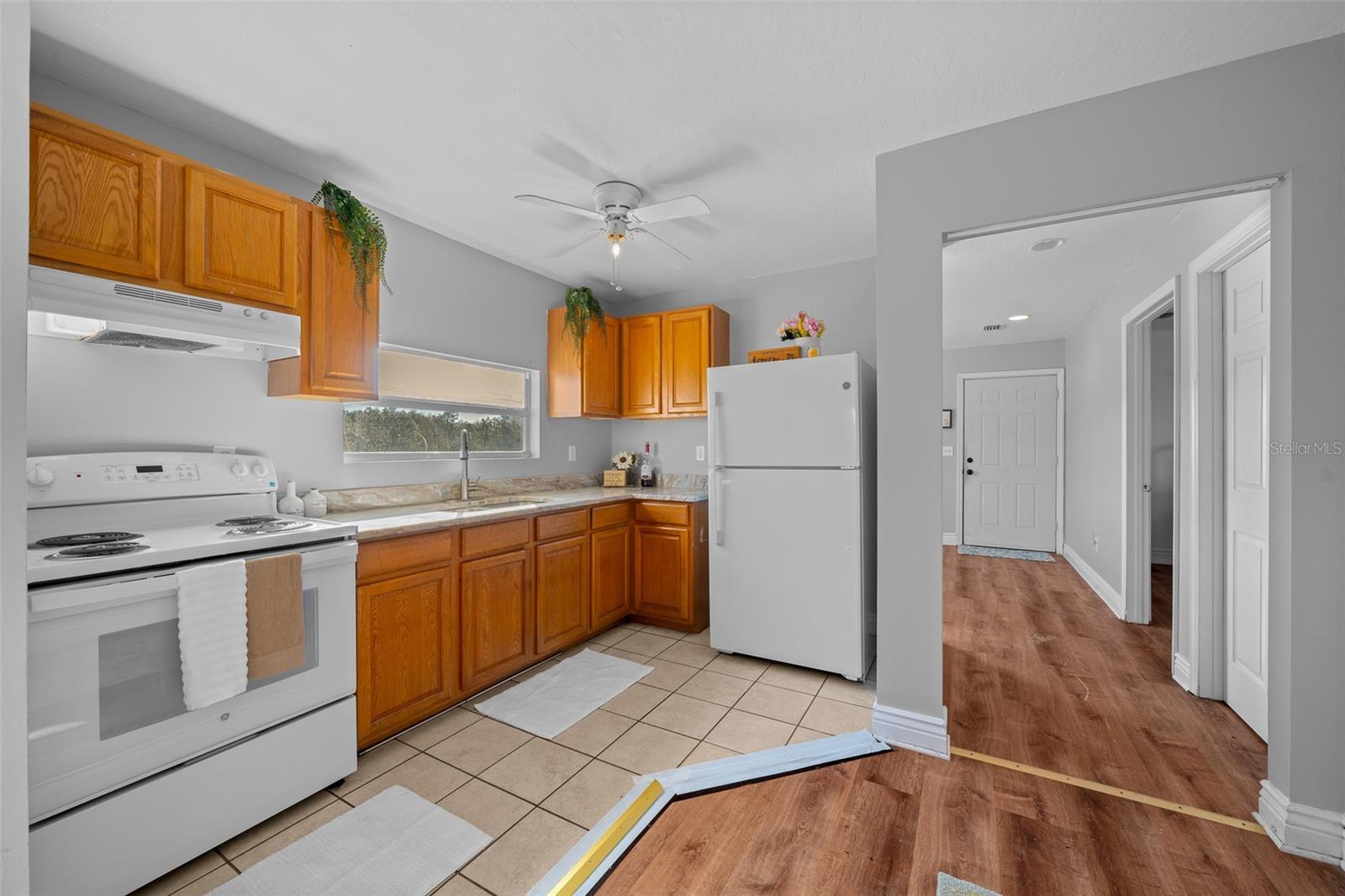 12451 NE 20TH ST, WILLISTON, FL, 32696