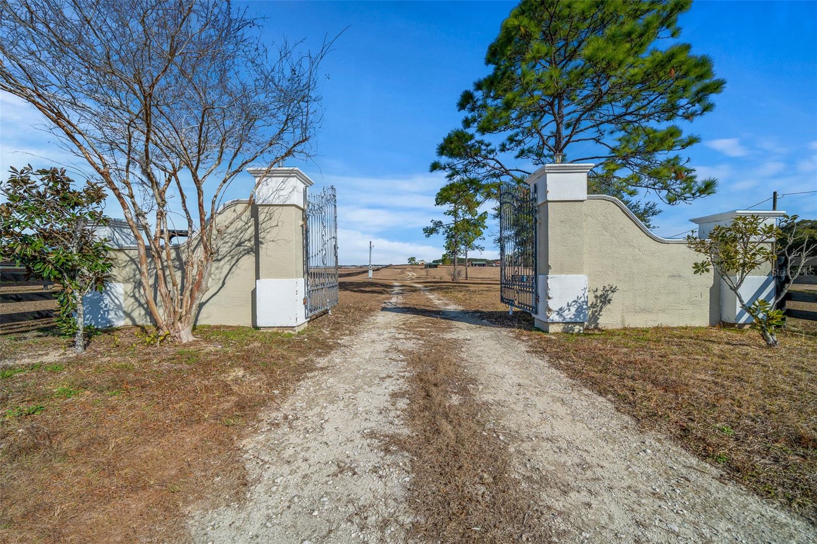 12451 NE 20TH ST, WILLISTON, FL, 32696