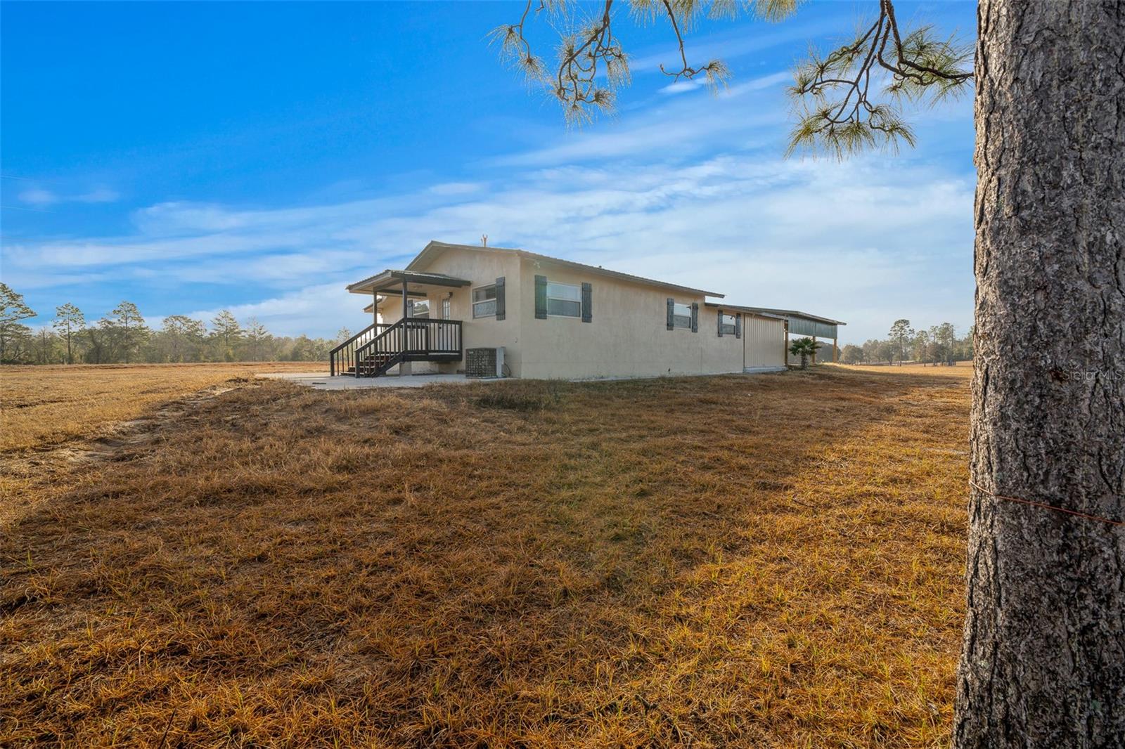 12451 NE 20TH ST, WILLISTON, FL, 32696