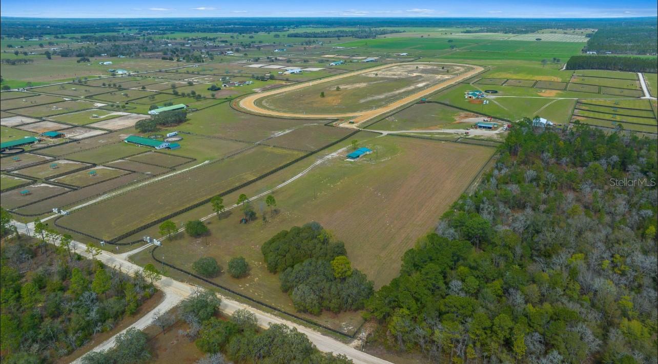 12451 NE 20TH ST, WILLISTON, FL, 32696