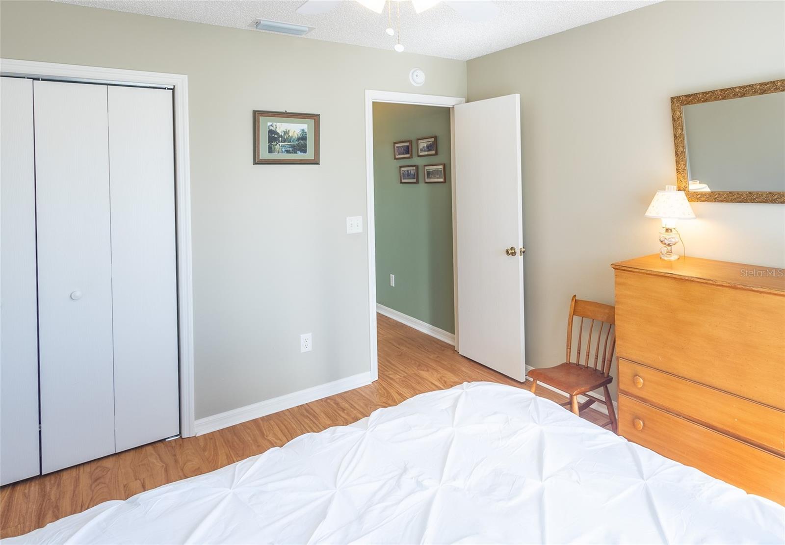 3315 WOODRIDGE DR, THE VILLAGES, FL, 32162