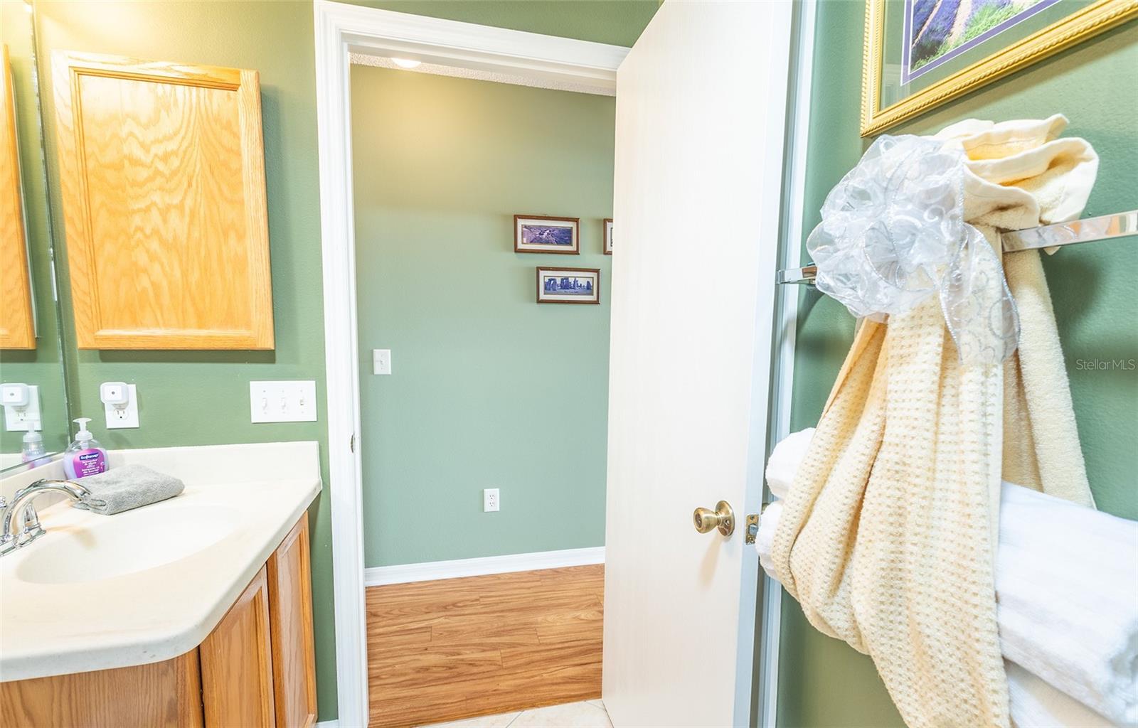 3315 WOODRIDGE DR, THE VILLAGES, FL, 32162