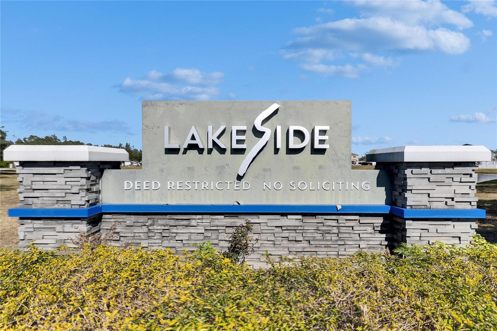 10313 LAKESIDE VISTA DR, RIVERVIEW, FL, 33569