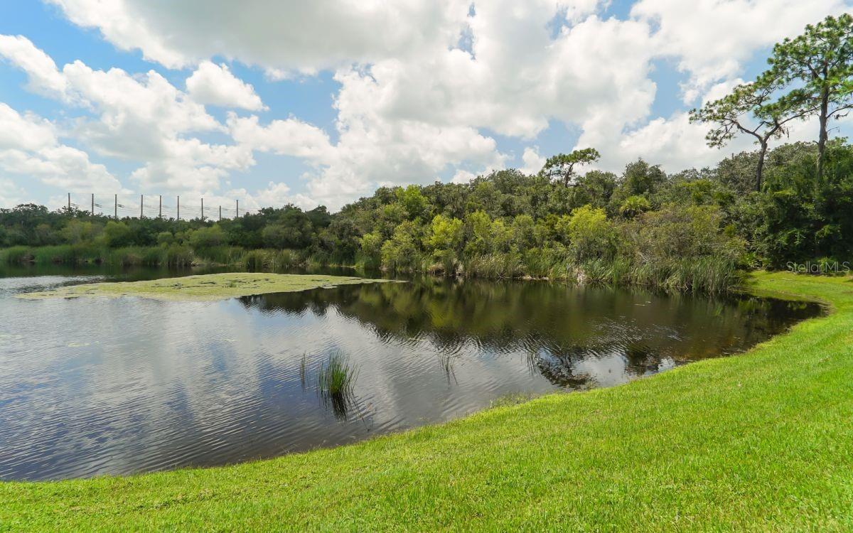 8713 SPRUCE HILLS CT, LAKEWOOD RANCH, FL, 34202