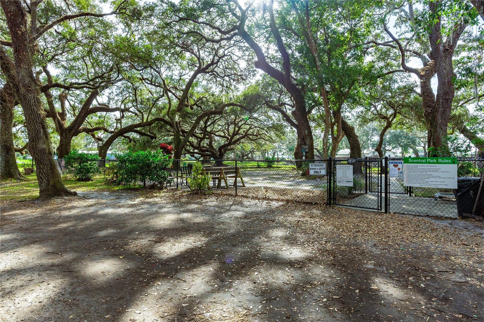 36810 KAY AVE, ZEPHYRHILLS, FL, 33542