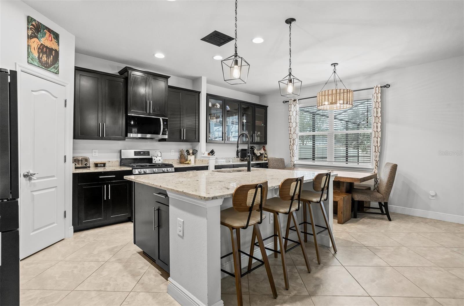 11550 LAKE LUCAYA DR, RIVERVIEW, FL, 33579