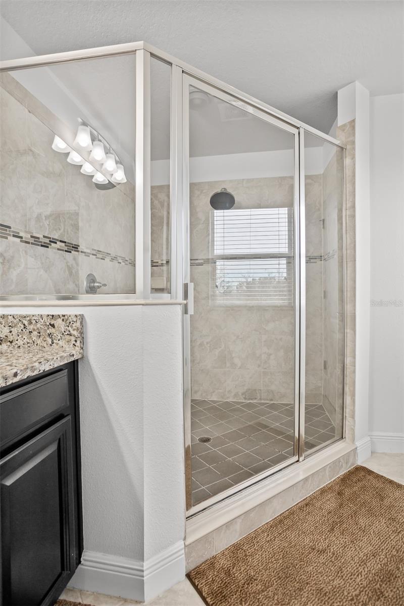11550 LAKE LUCAYA DR, RIVERVIEW, FL, 33579