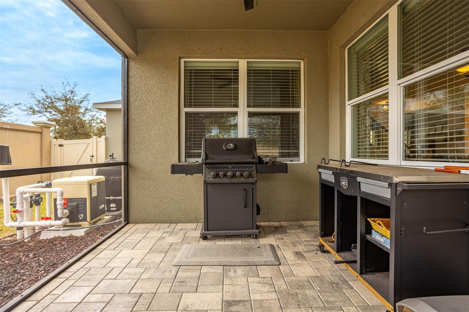 11550 LAKE LUCAYA DR, RIVERVIEW, FL, 33579