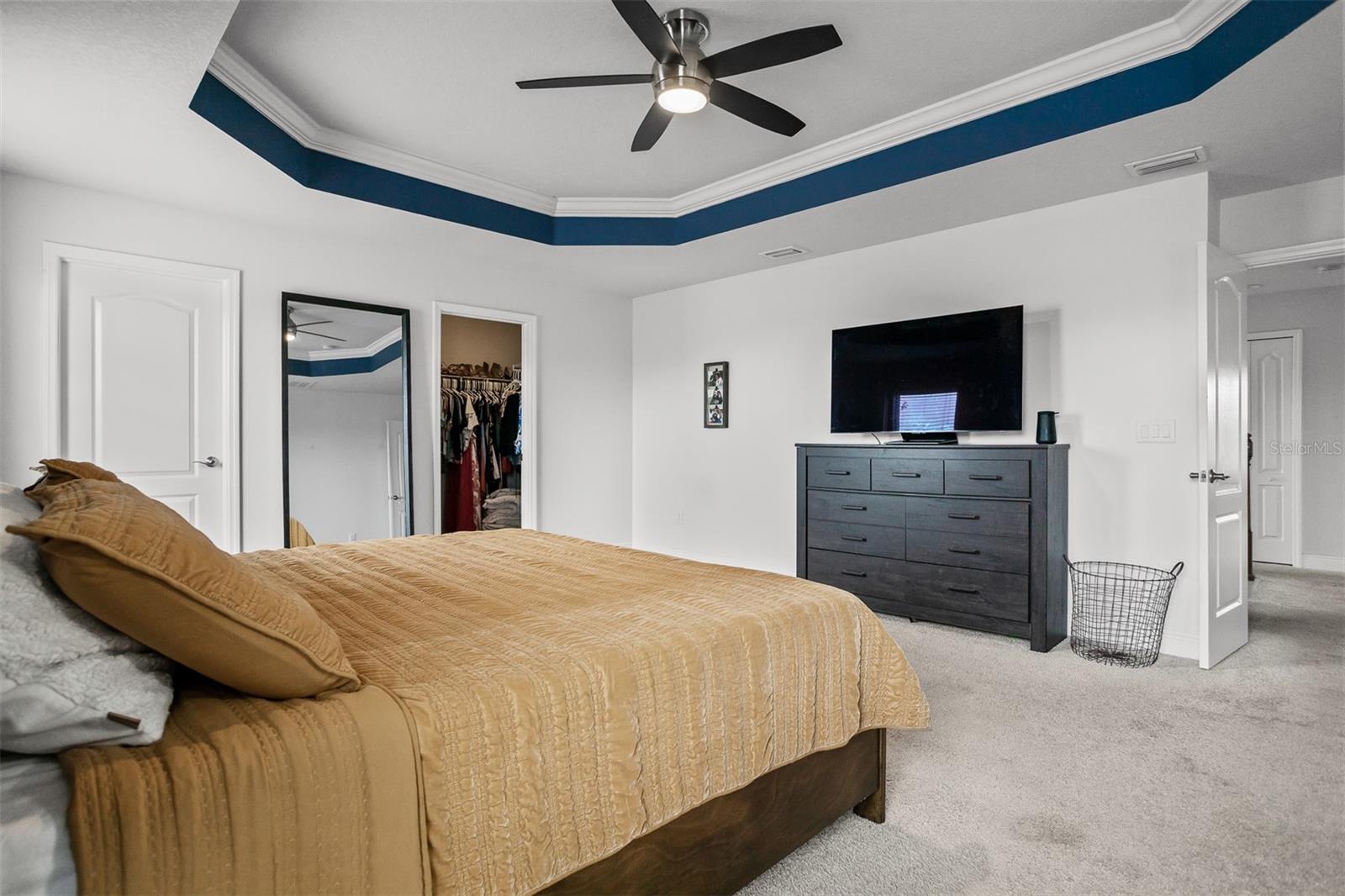 11550 LAKE LUCAYA DR, RIVERVIEW, FL, 33579
