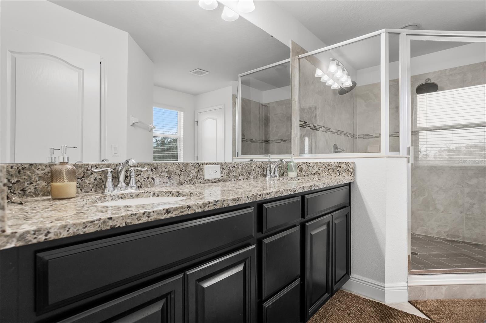 11550 LAKE LUCAYA DR, RIVERVIEW, FL, 33579