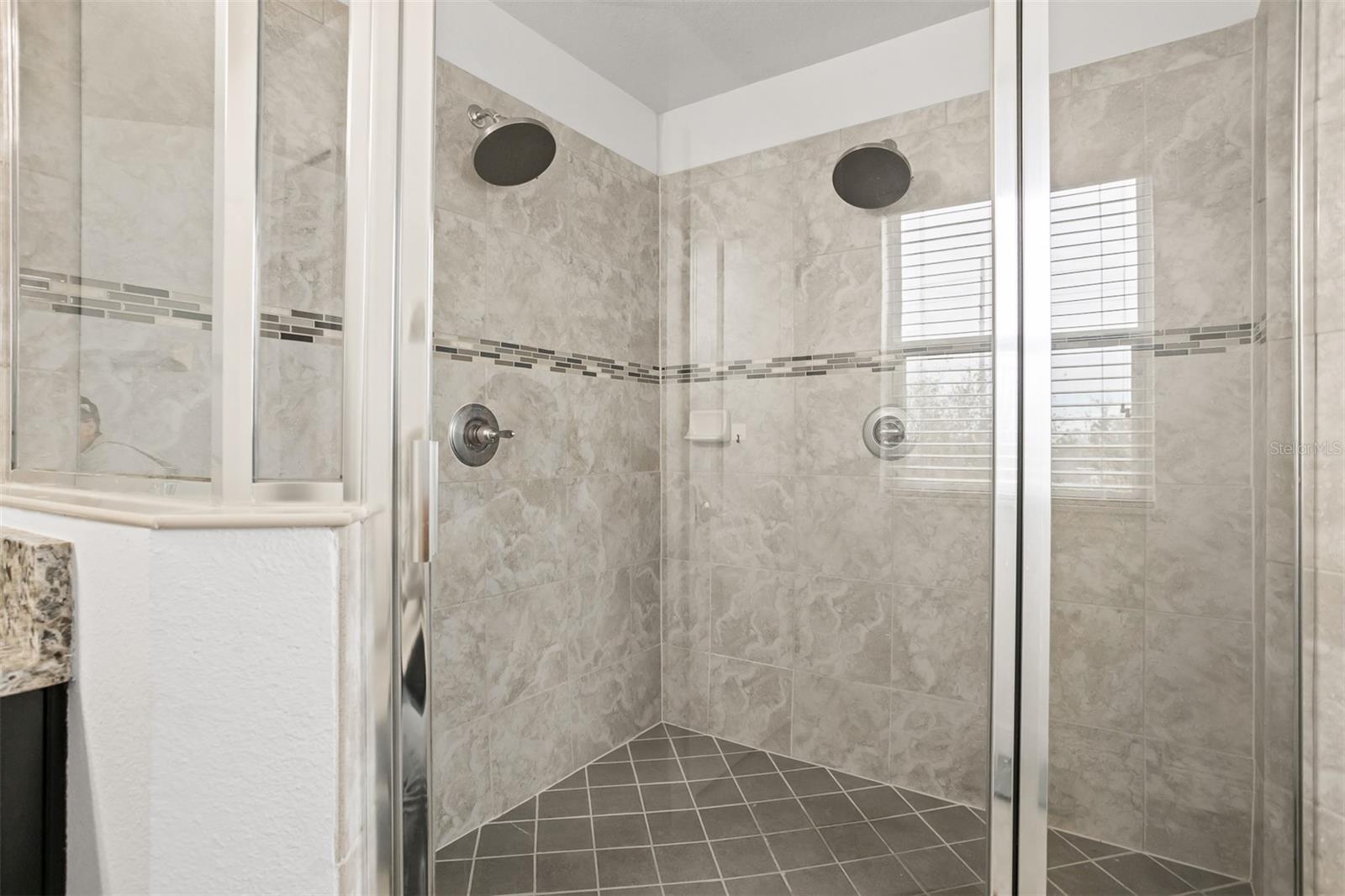 11550 LAKE LUCAYA DR, RIVERVIEW, FL, 33579