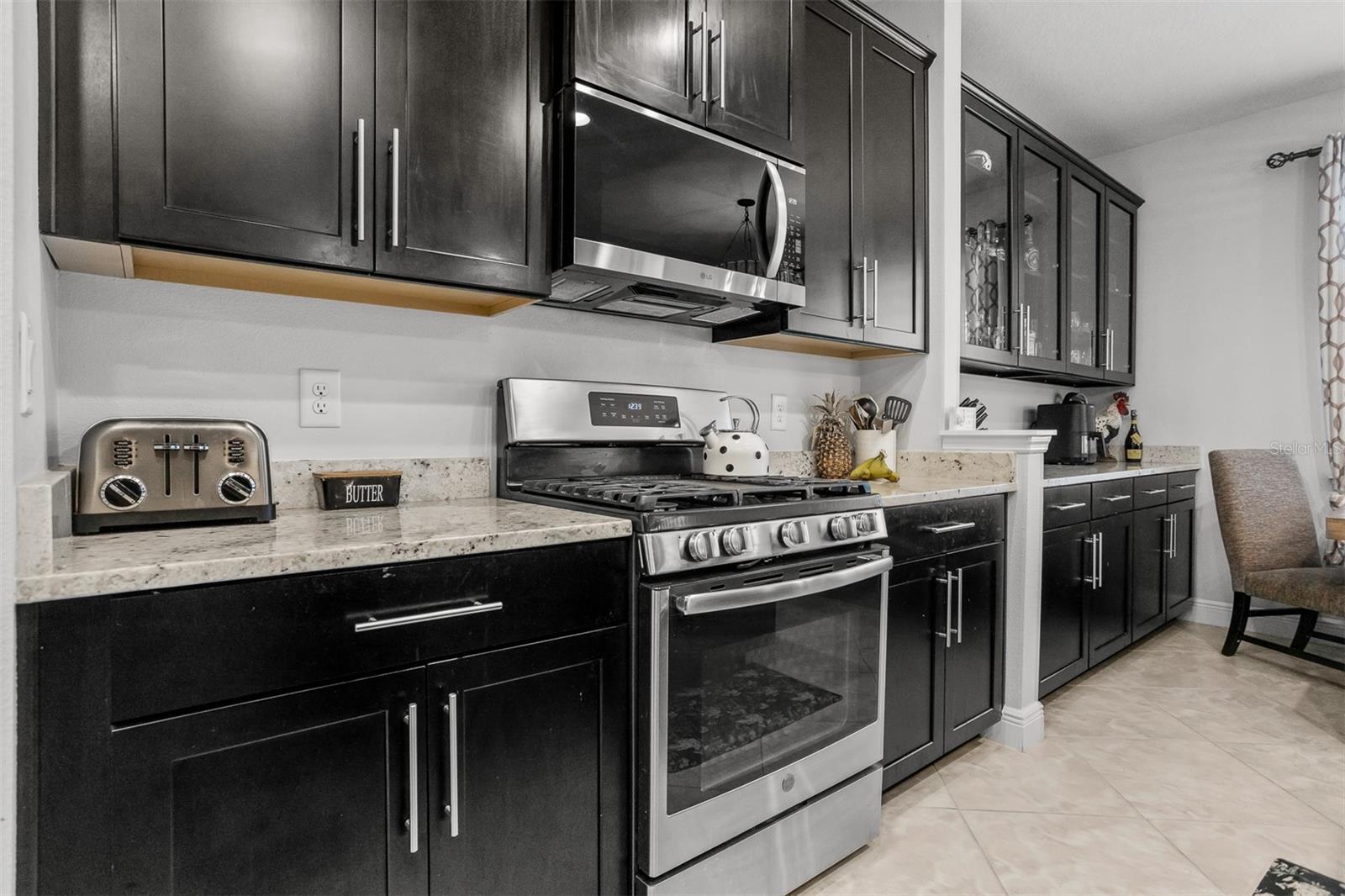 11550 LAKE LUCAYA DR, RIVERVIEW, FL, 33579