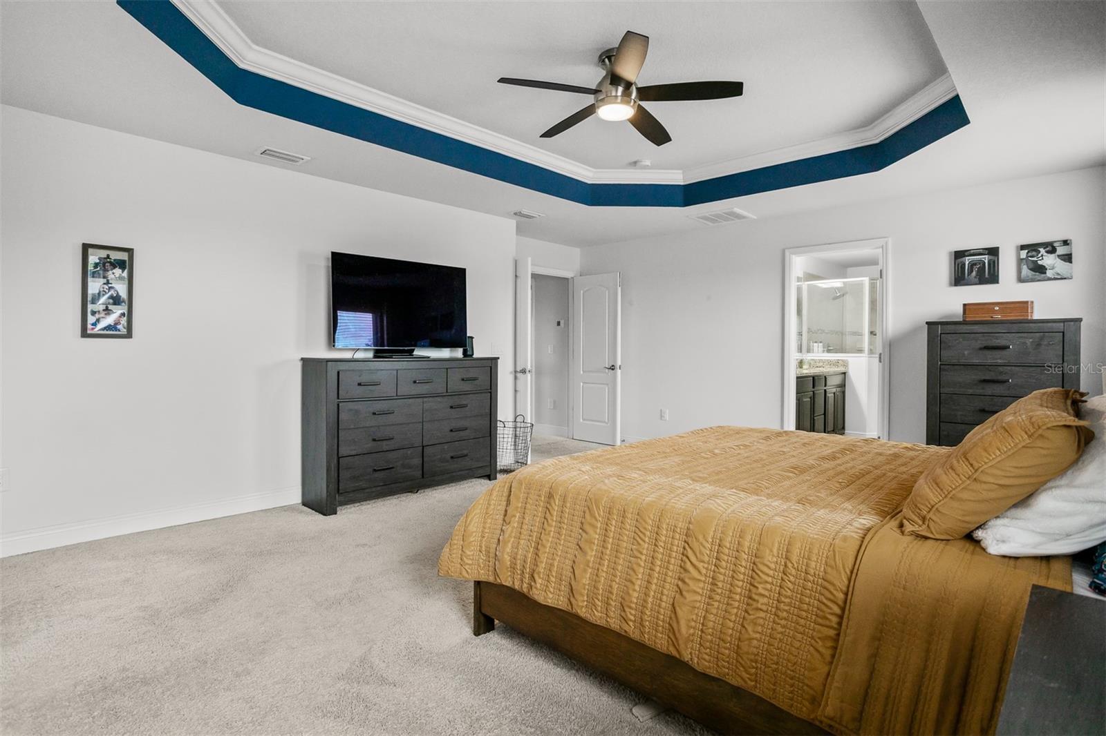 11550 LAKE LUCAYA DR, RIVERVIEW, FL, 33579