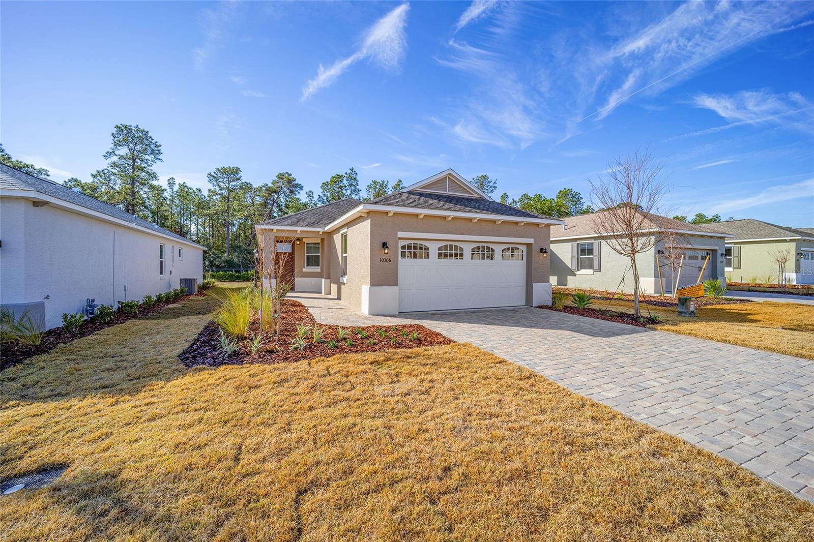 10306 SW 99TH LN, OCALA, FL, 34481