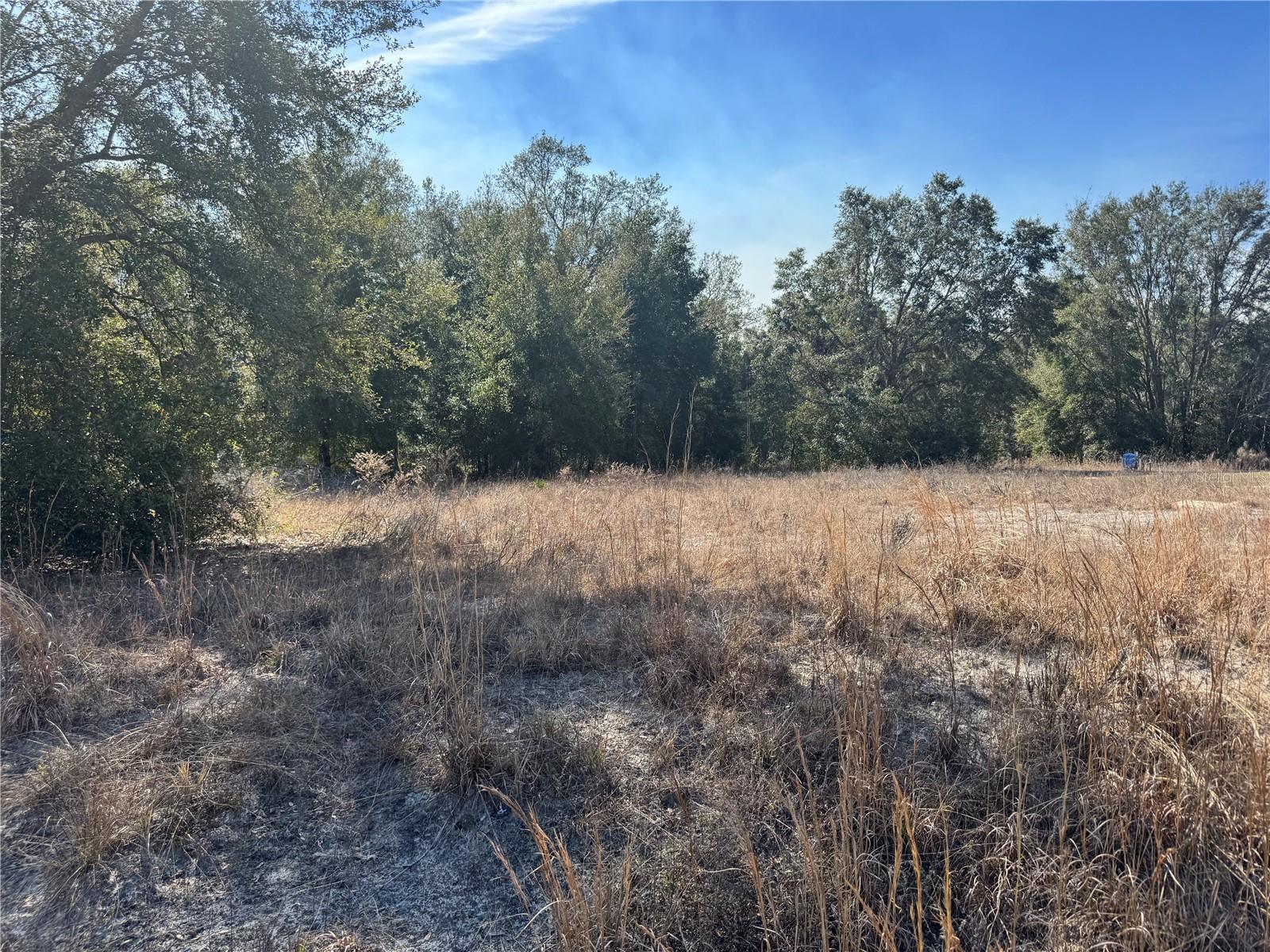 Lot 5 SW 108TH ST, DUNNELLON, FL, 34432