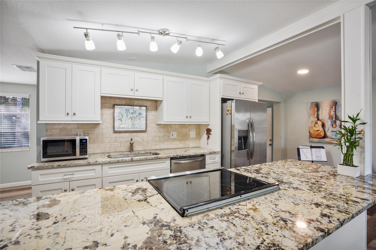 1159 STEWART DR, DUNEDIN, FL, 34698
