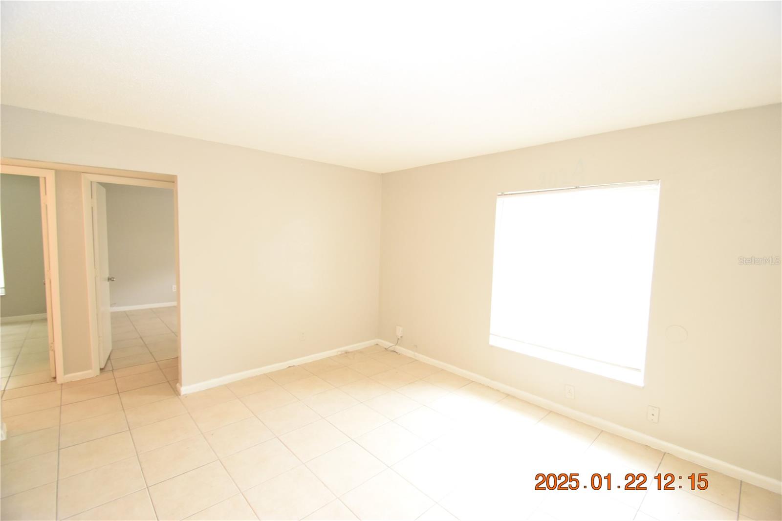 2205 IRENE ST #2, LUTZ, FL, 33549