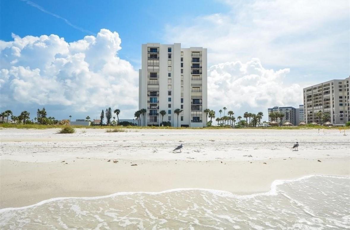 1460 GULF BLVD #908, CLEARWATER BEACH, FL, 33767