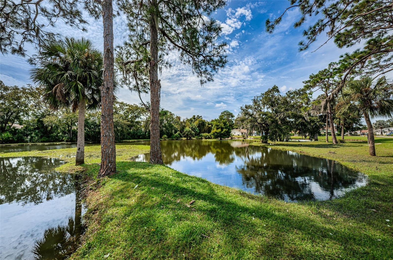 6225 EMERSON DR, NEW PORT RICHEY, FL, 34653