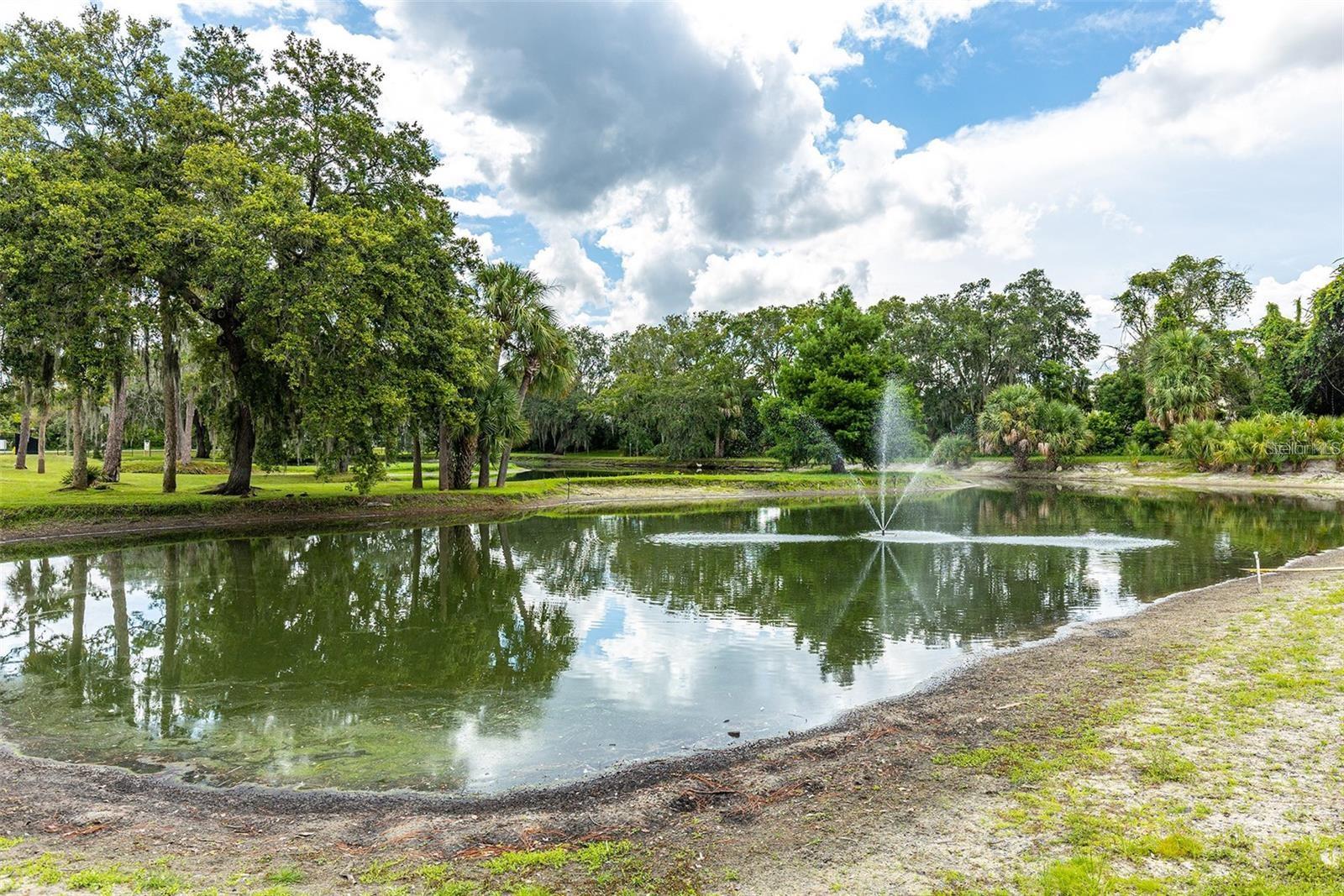 6225 EMERSON DR, NEW PORT RICHEY, FL, 34653