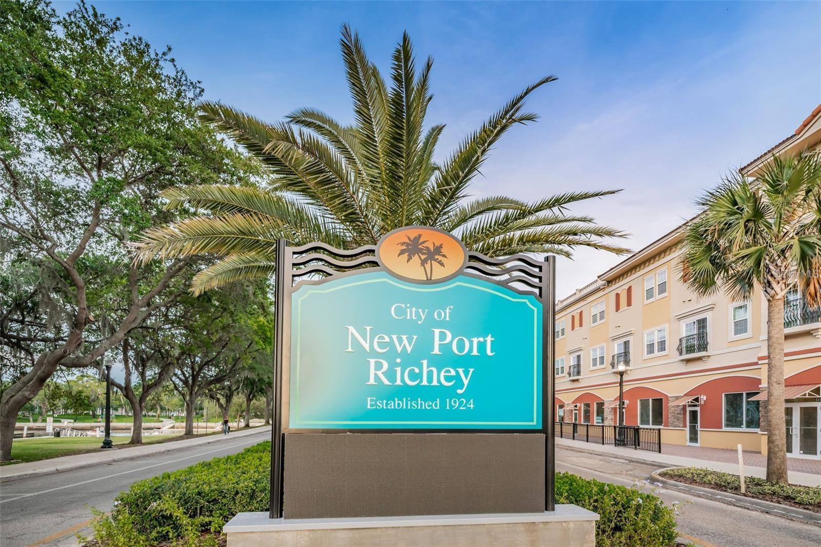 6225 EMERSON DR, NEW PORT RICHEY, FL, 34653