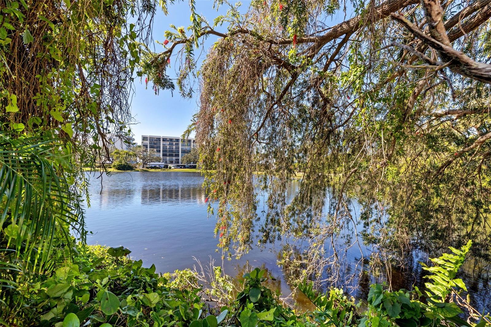 1 GALLINULE PL, BELLEAIR, FL, 33756