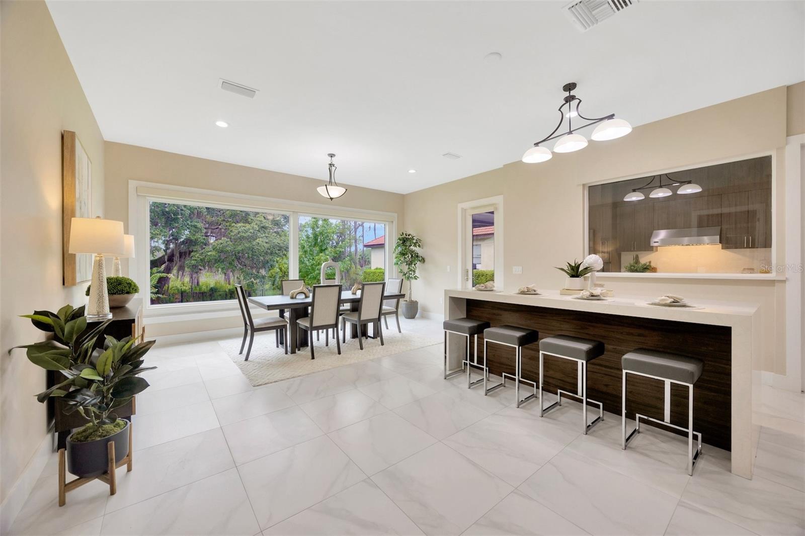 10542 CORY LAKE DR, TAMPA, FL, 33647