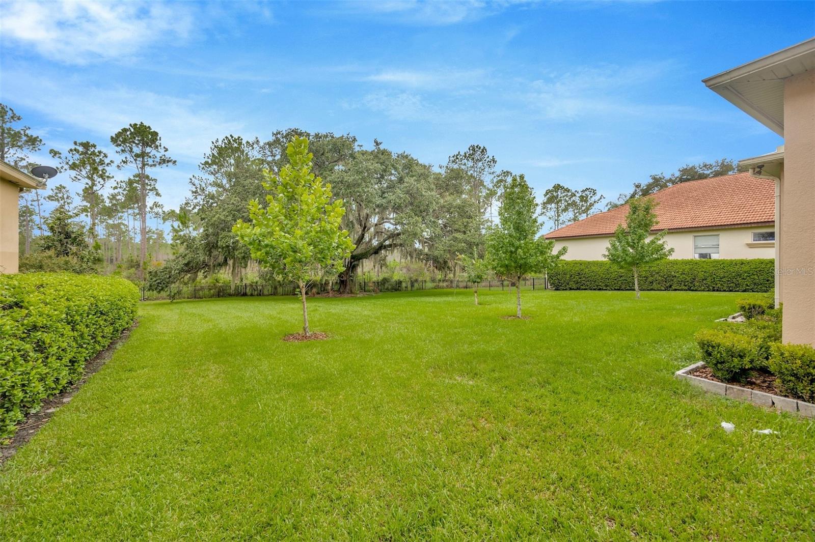 10542 CORY LAKE DR, TAMPA, FL, 33647
