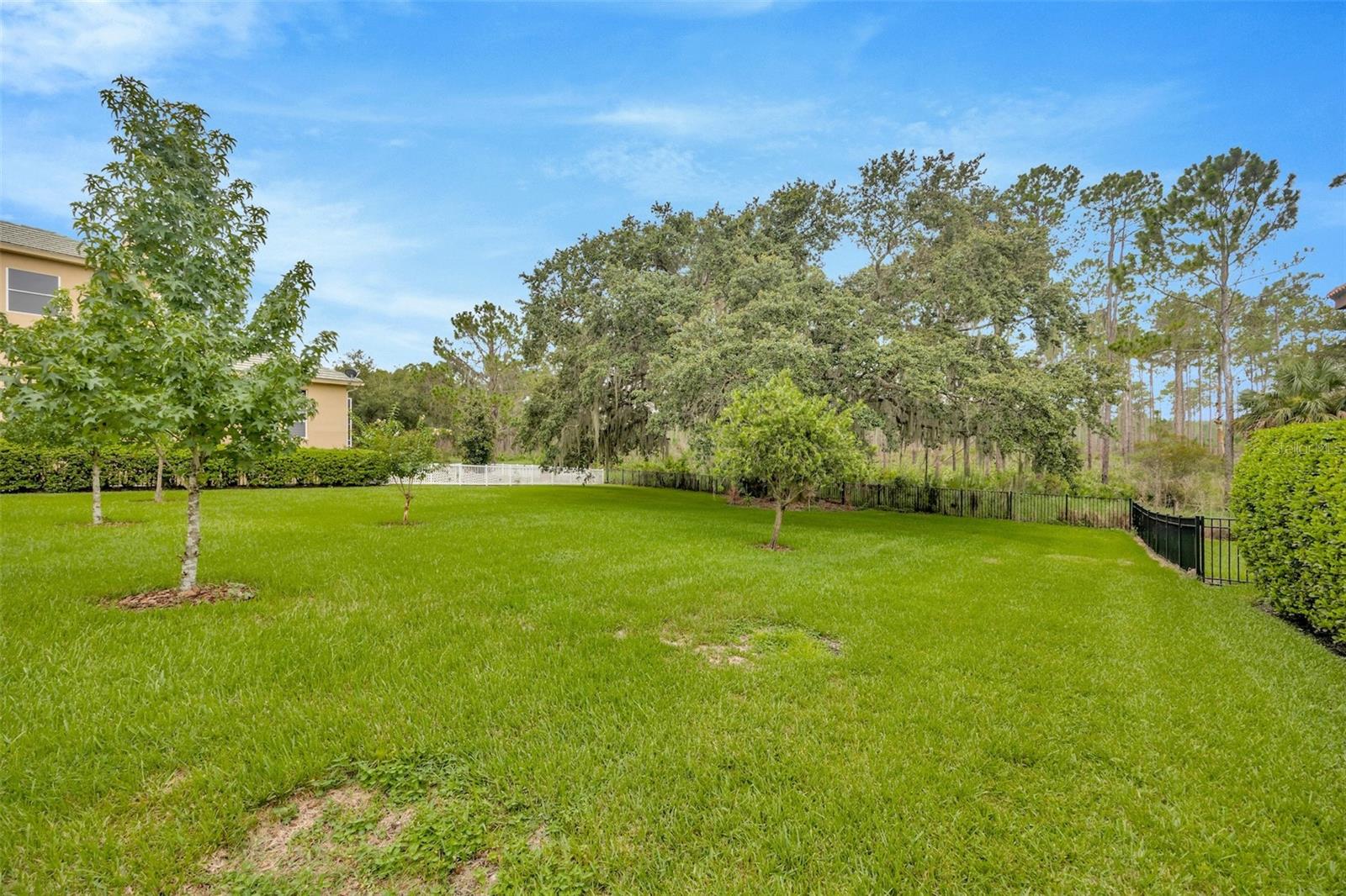 10542 CORY LAKE DR, TAMPA, FL, 33647