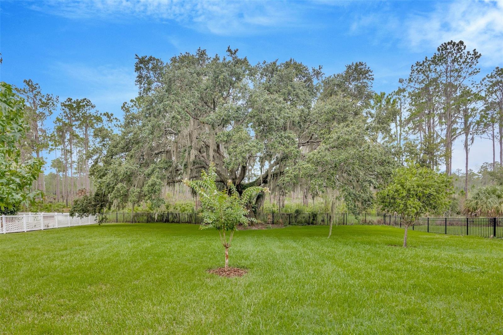 10542 CORY LAKE DR, TAMPA, FL, 33647