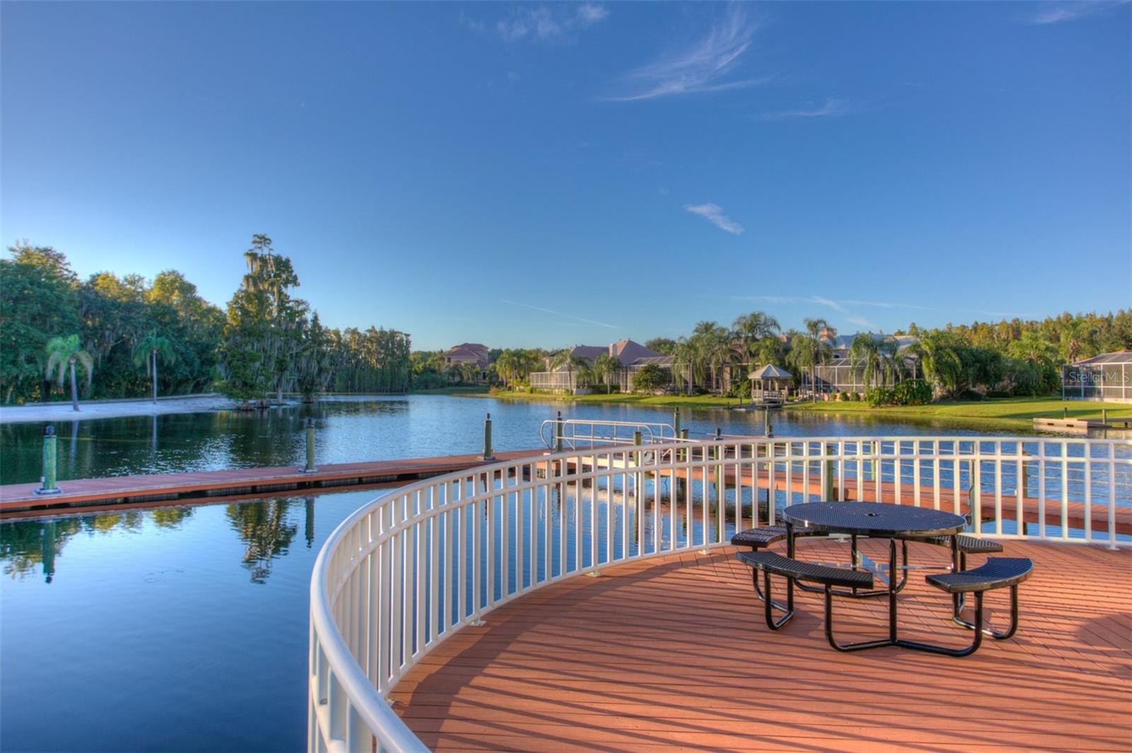 10542 CORY LAKE DR, TAMPA, FL, 33647