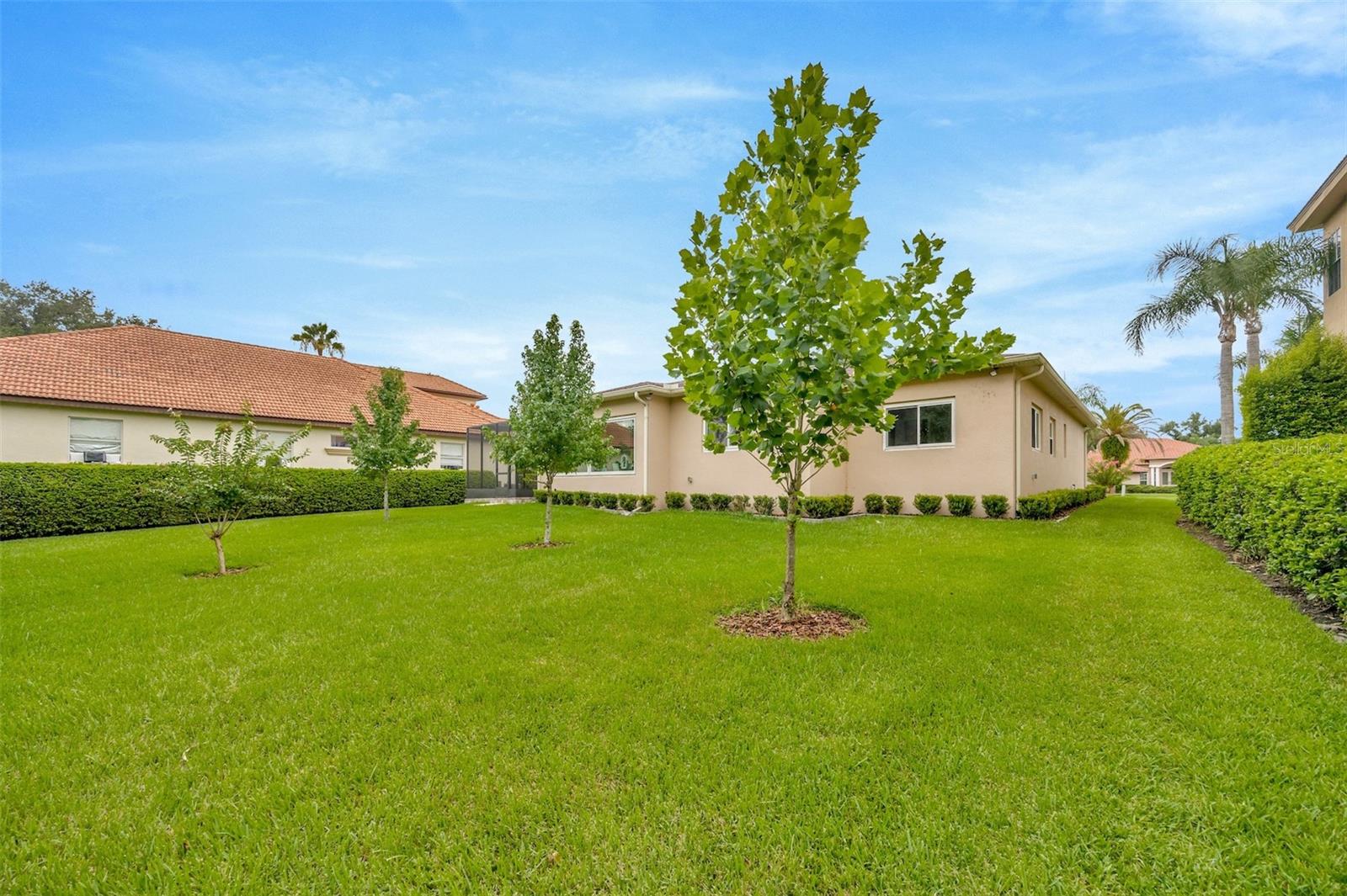 10542 CORY LAKE DR, TAMPA, FL, 33647