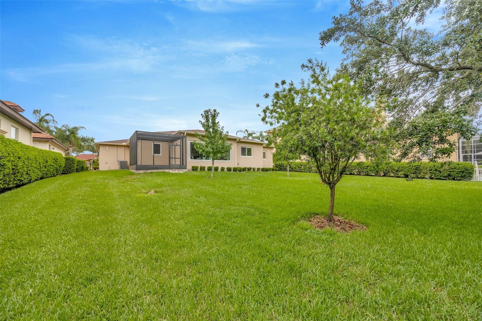 10542 CORY LAKE DR, TAMPA, FL, 33647