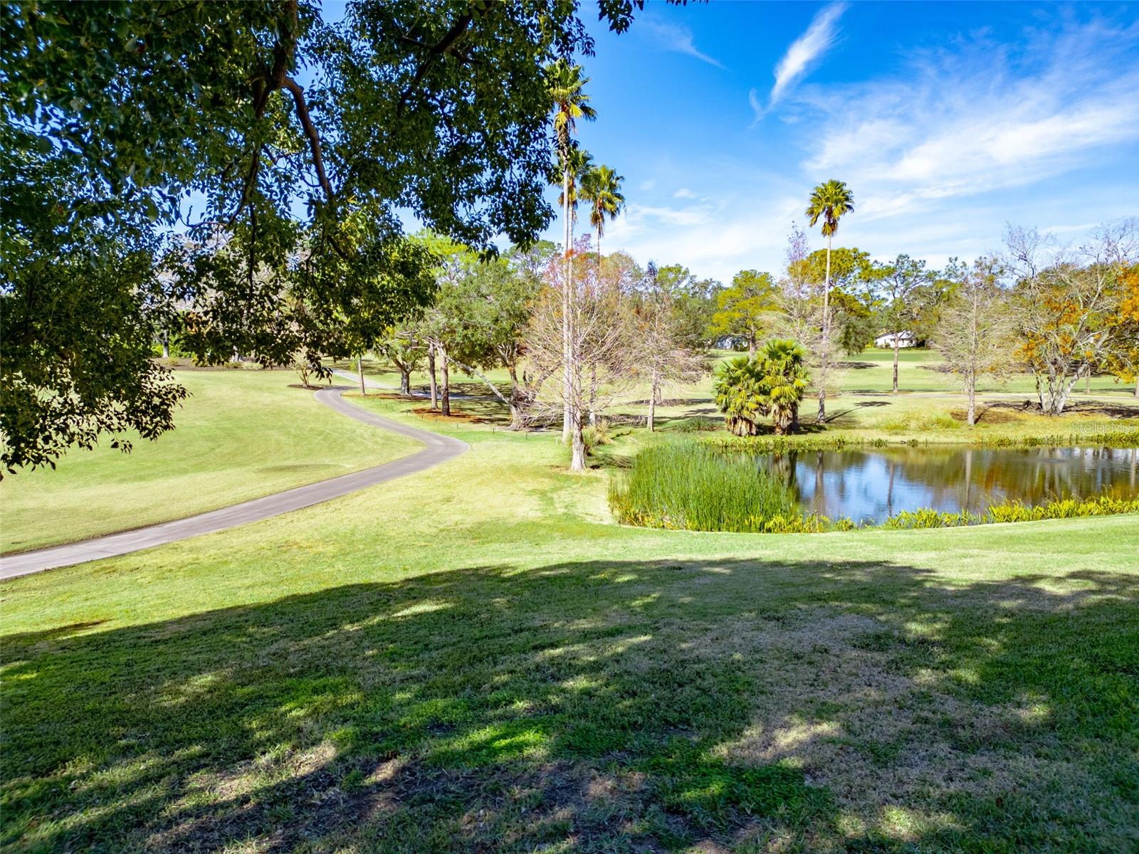 1162 RUSTLEWOOD CT, PALM HARBOR, FL, 34684