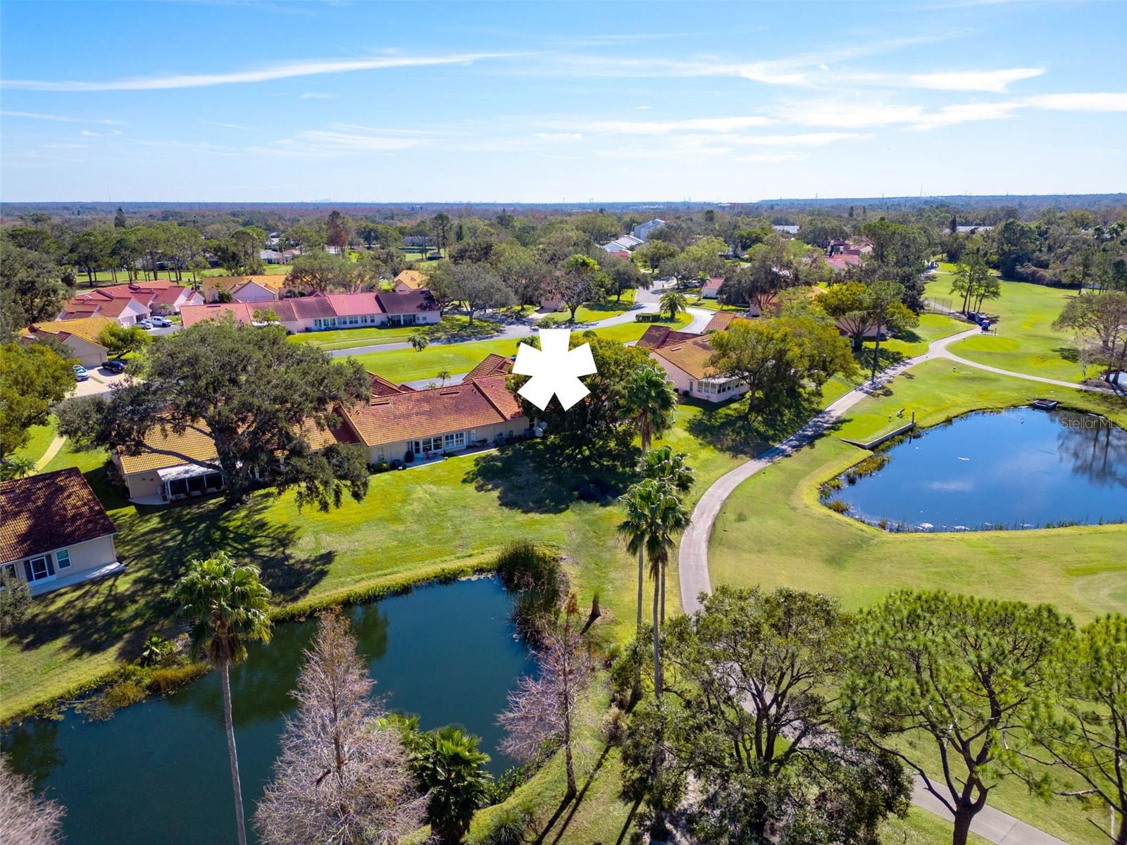 1162 RUSTLEWOOD CT, PALM HARBOR, FL, 34684