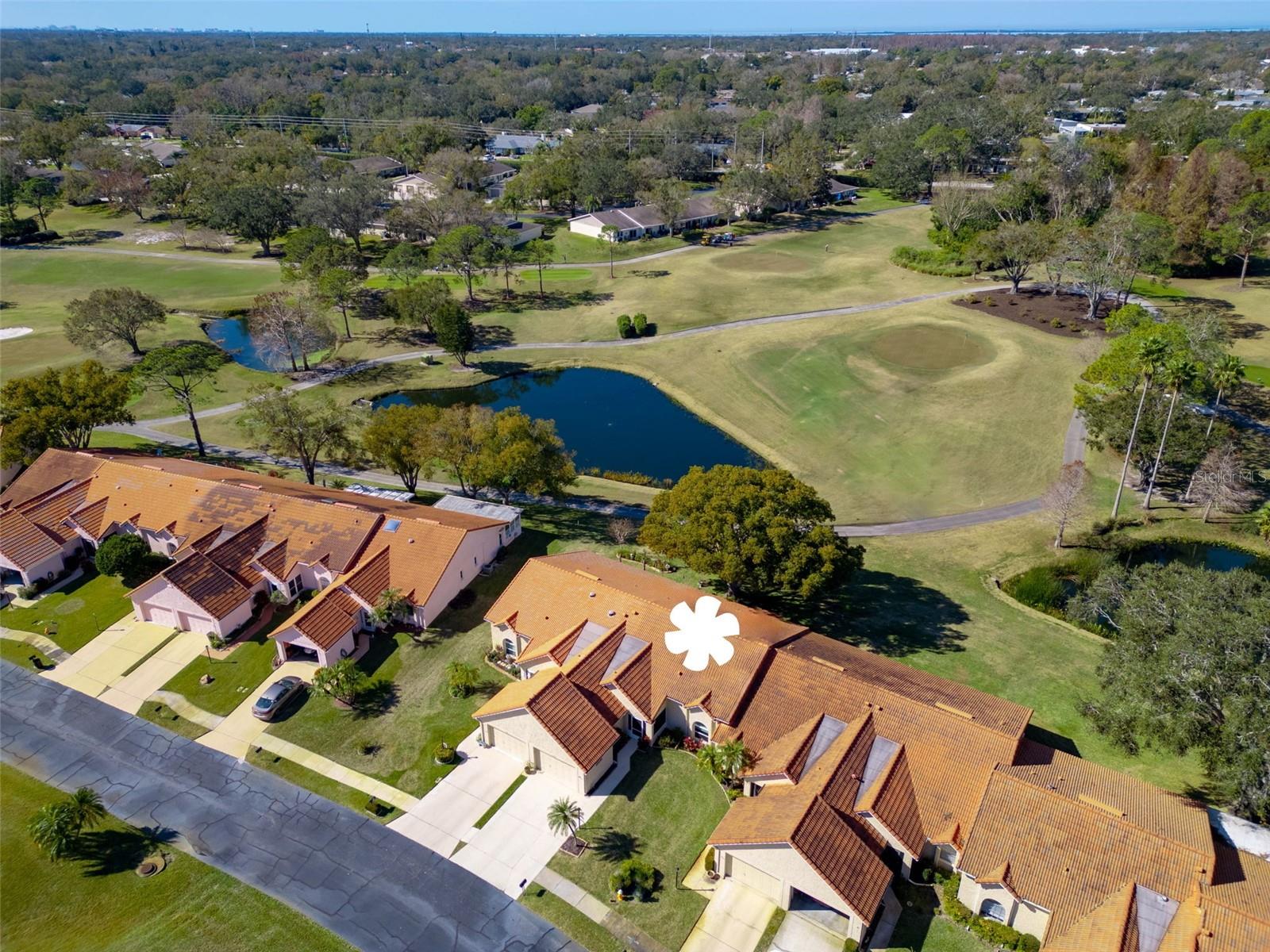 1162 RUSTLEWOOD CT, PALM HARBOR, FL, 34684