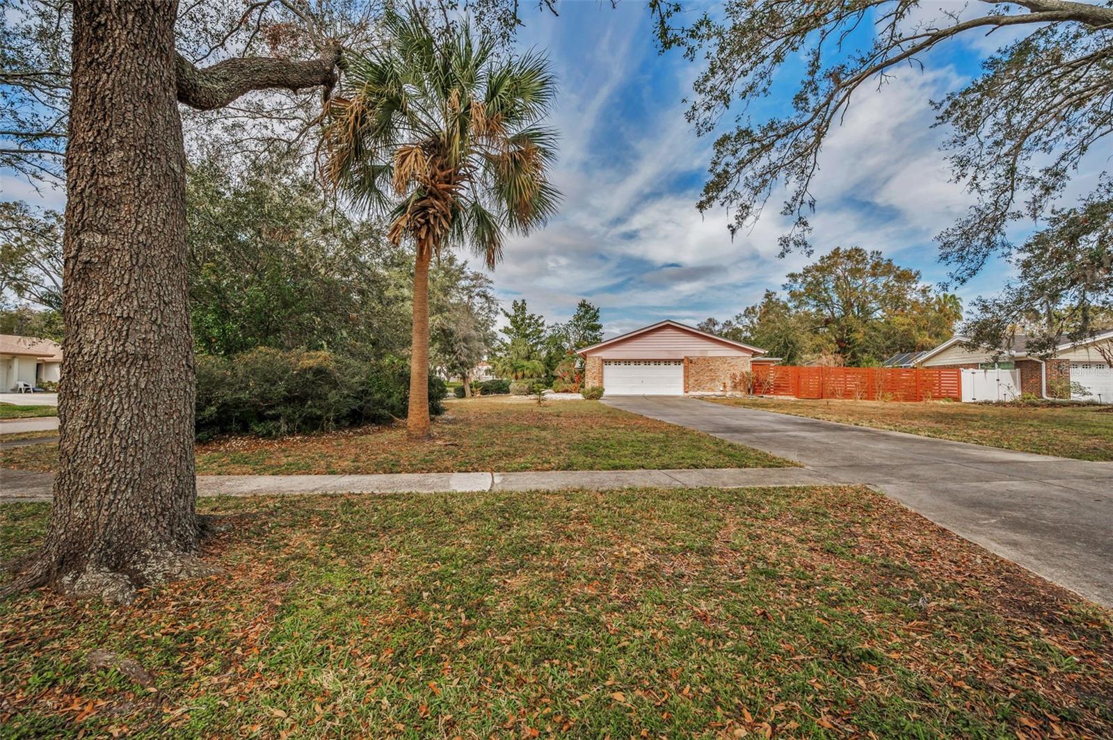 3201 BELMORE RD, TAMPA, FL, 33618