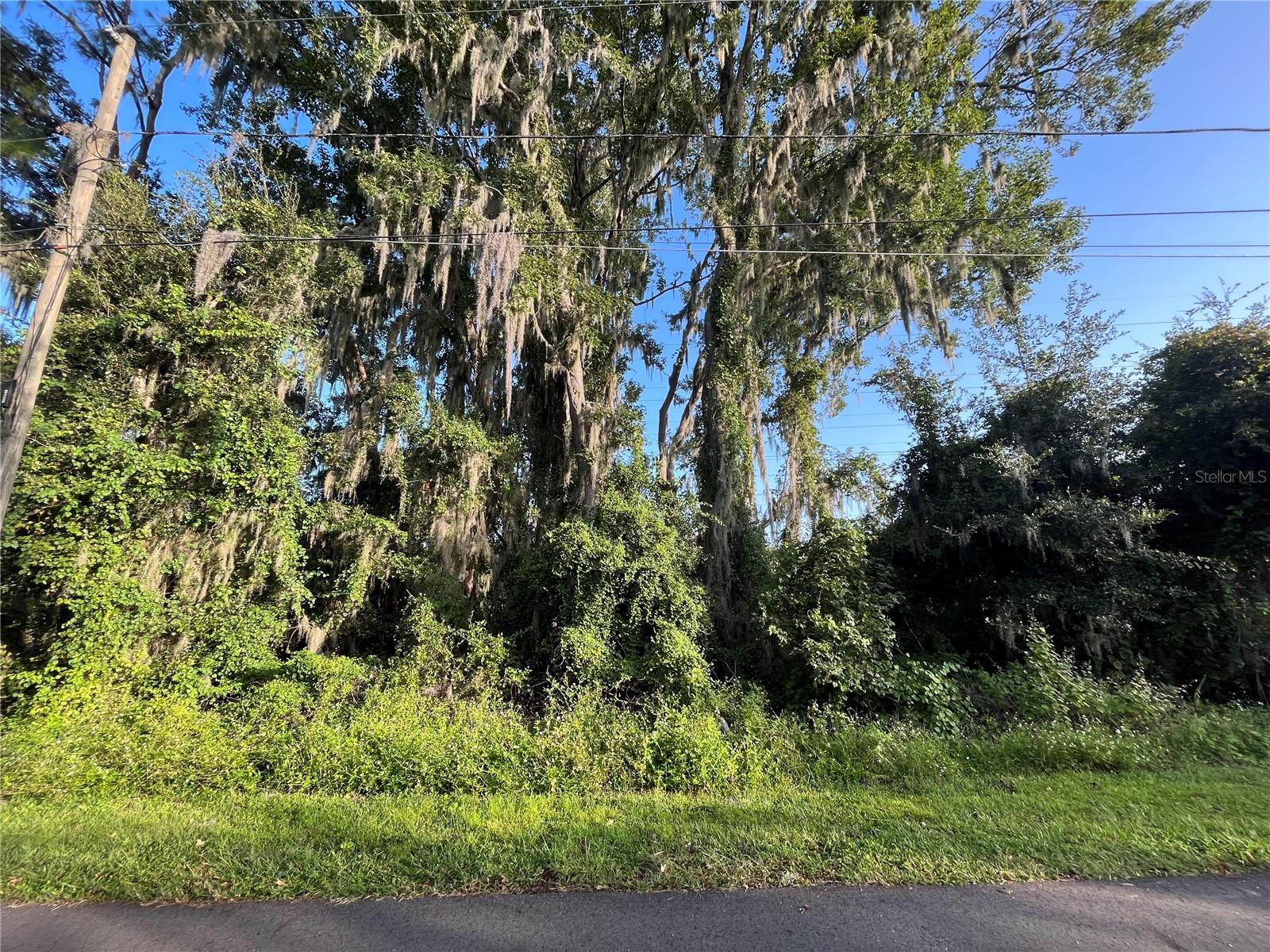 262 TOMS RD, DEBARY, FL, 32713