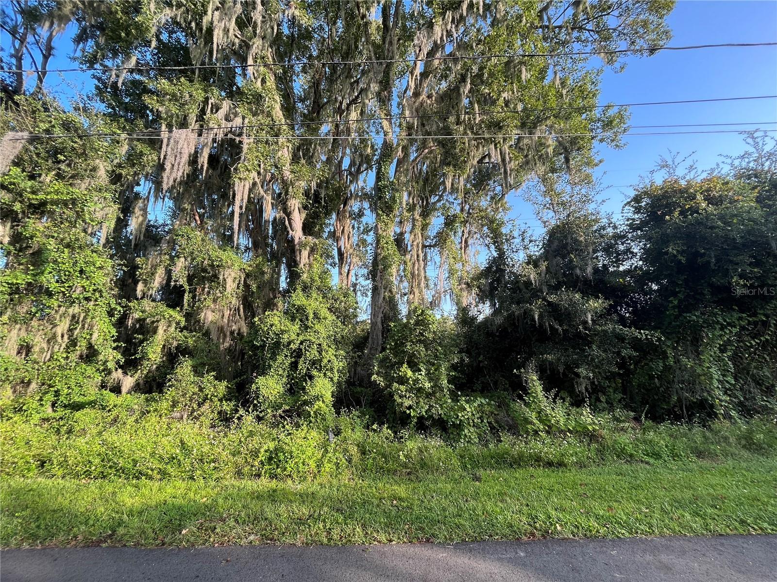 262 TOMS RD, DEBARY, FL, 32713