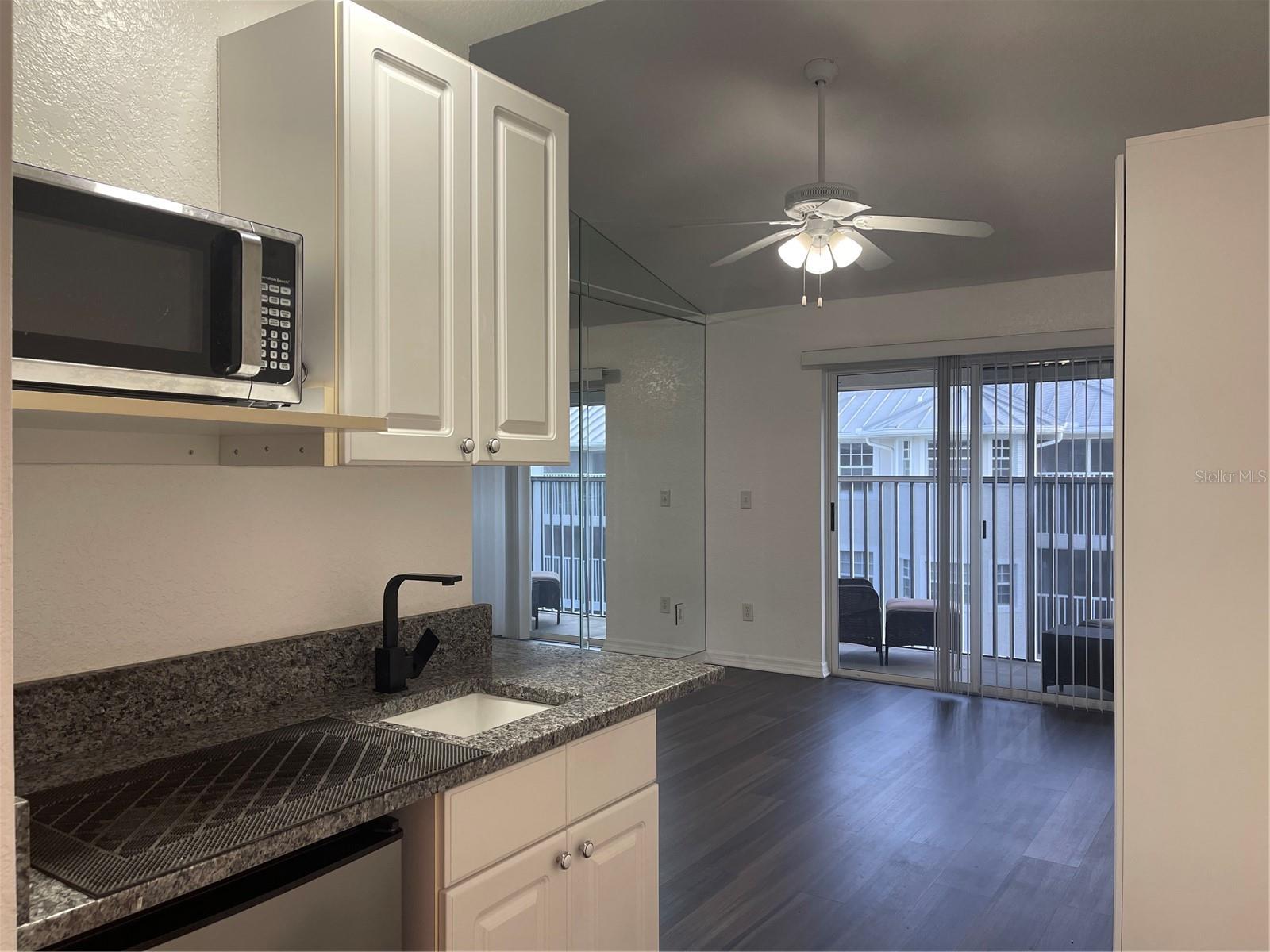 21146 FOUNTAIN VIEW LN #4303, LUTZ, FL, 33558